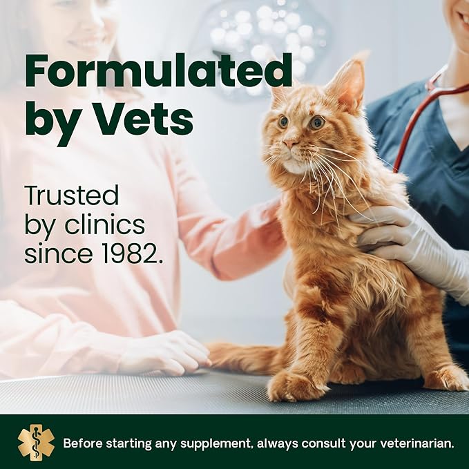 VetriScience Ultimate Strength Lysine Immunity Health Powder for Cats & Kittens, Supplement for Allergy & Nasal Support, Sneezing, Runny Nose & Watery Eyes, Chicken & Cheese Flavor, 60 Count -New Look