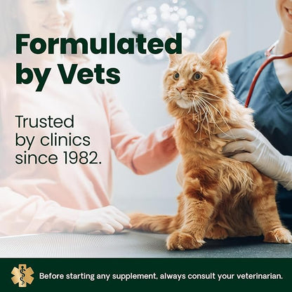 VetriScience Ultimate Strength Lysine Immunity Health Powder for Cats & Kittens, Supplement for Allergy & Nasal Support, Sneezing, Runny Nose & Watery Eyes, Chicken & Cheese Flavor, 60 Count -New Look