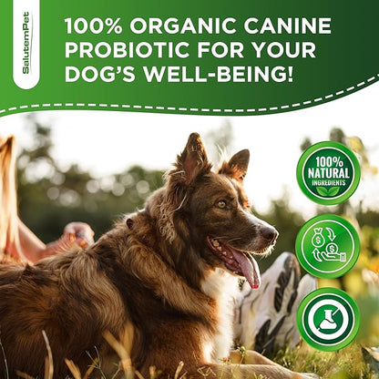Probiotics for Dogs | Liquid Probiotics for Dogs and Puppies | Prebiotic & Digestive Enzymes | Gut Flora Support and Digestive Care | Bacon Taste | 2 Oz
