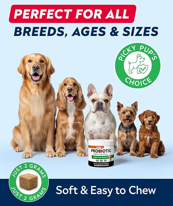 STRELLALAB Dog Probiotics for Digestive Health & Enzymes - Diarrhea, Gas, Upset Stomach Relief & Season Allergy - Pet Probiotics for Dogs- Chews for Digestion - Gut Health for Dogs (60Ct)