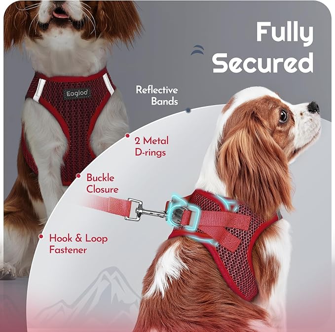 Eagloo Small Dog Harness and Leash Set, Step in Puppy Vest with Breathable Soft Mesh, Walking Reflective Pet Harness for Extra Small Dogs, Red, XXS