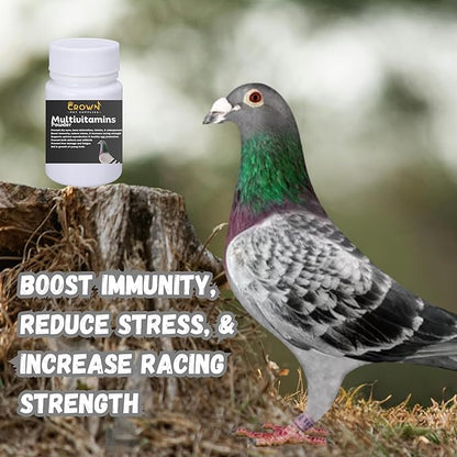 Multivitamin Powder for Pigeons – Ultimate Vitamin Formula for Racing & Breeding – Supports Growth, Bone Strength, Reproductive Health & Feather Health - Promotes Peak Performance & Well-Being 50g