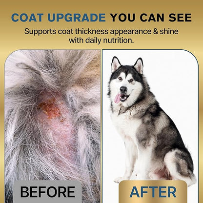 2-in-1 Fur Growth & Shiny Coat Support for Thinning or Patchy Fur – Skin & Coat Supplement for Dogs, Itch Relief with Plant-Based Omega 3, Biotin, Zinc & B-Vitamins, Supports Normal Shedding