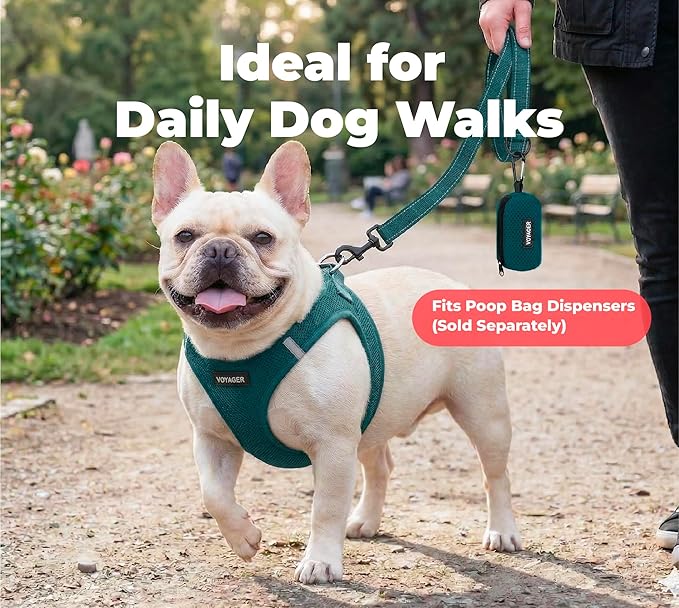 Best Pet Supplies Voyager Reflective Dog Leash or Collar with Neoprene Handle, for Small, Medium, and Large Breed Puppies, Cute and Heavy Duty for Walking, Running and Training - Blue (Leash), M