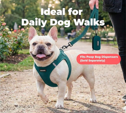 Best Pet Supplies Voyager Reflective Dog Leash or Collar with Neoprene Handle, for Small, Medium, and Large Breed Puppies, Cute and Heavy Duty for Walking, Running and Training - Blue (Leash), S