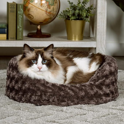 Furhaven Dog Bed for Small Dogs w/ Removable Washable Cover & Pillow Cushion Insert, For Dogs Up to 12 lbs - Ultra Plush Faux Fur Oval Lounger - Chocolate, Small