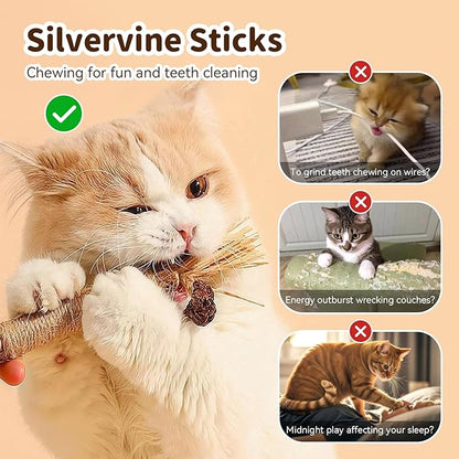 Cat Toys for Indoor Cats, 3 Pcs Silvervine Sticks with Gall Fruit & 1 Pc Cat Chew Rope for Teeth Cleaning, Interactive Cat Toys with Catnip, Kitten Chew Toys Teething for All Breeds Purple