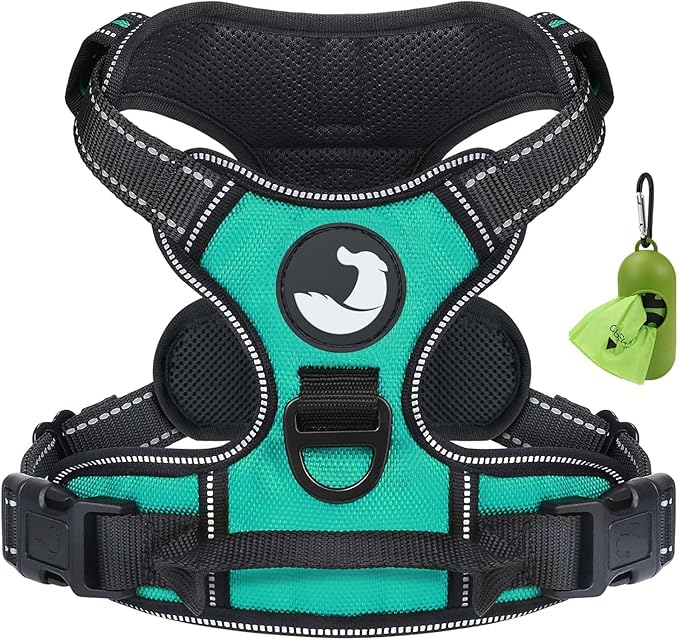 Joytale No Pull Dog Harness for Small Dogs, Reflective Pet Vest with Front Clip, Adjustable Soft Padded Harnesses with Easy Control Handle for Training and Walking, Teal, S