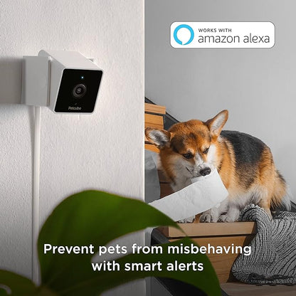 Petcube Cam Pack of 3 Indoor Home Security Cameras with 1080p HD Video, 2-Way Audio, Motion Detection, and Phone App, Night Vision Wi-Fi Camera for Apartment Security, Video Baby Monitor, Pet Camera