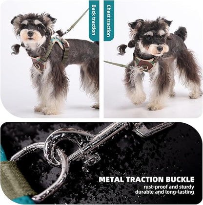 Small Dog Harness and Leash Set, Breathable Mesh Puppy Harness, Adjustable Dog Harness for Small Medium Large Dogs, No-Pull Pet Harness for Daily Walking (Lakeblue, Large)
