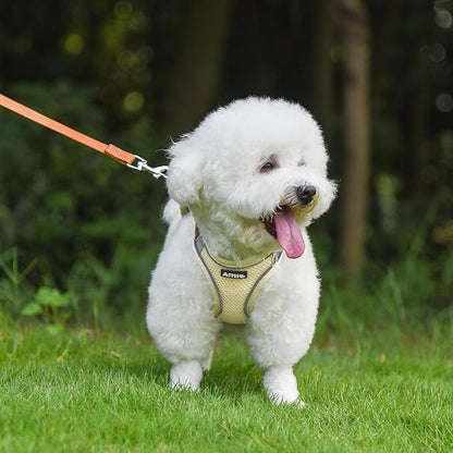 AIITLE Small Harness for Puppy with A Leash - Dog Vest Harness with Super Breathable Mesh, Reflective No-Pull Pet Harness for Outdoor Walking, Running for Small Dogs, Cats Beige XXS