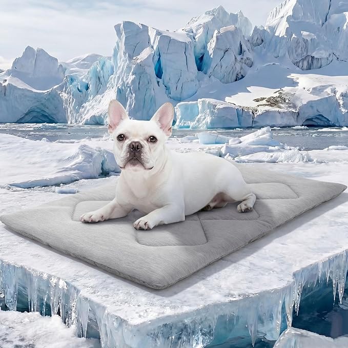 ASENKU Dog Cooling Mat, Portable & Durable Cooling Mat for Dogs, Summer Anti-Slip Breathable Cooling Bed for Small-Medium Dogs up to 35 lbs (French Bulldog, Beagle, Corgi), 32x20 inches, Grey Diamond