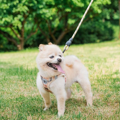 BEAUTYZOO Small Dog Harness and Leash Set,Step in No Choke No Pull Soft Mesh Dog Harnesses Reflective for Extra-Small/Small Medium Puppy Dogs and Cats, Plaid Dog Vest Harness for XS S Pets, Beige XXS