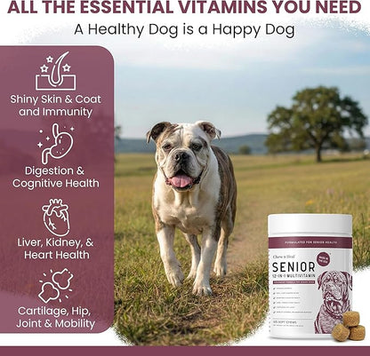 12-in-1 Multivitamin for Senior Dogs - 60 Senior Dog Vitamin and Supplement Soft Chews for Hip and Joint - Advanced Formula with Glucosamine, Omega 3,6,9, Vitamins, Probiotics - Made in the USA