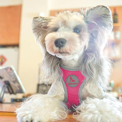 Kruz Dog Harness (Chest 13.5"-14", Weight 4–6 lbs) Athletica Adjustable Heavy Duty No Choke Puppy Vest for Small Dogs Lightweight Air Mesh, Reflective, Puppy Essentials – Raspberry Pink, X-Small