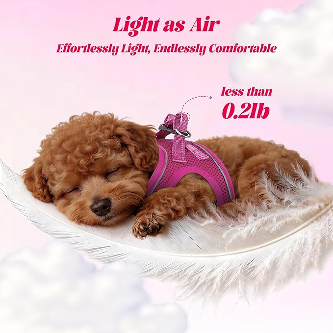 YIMEIS Dog Harness and Leash Set, No Pull Soft Mesh Pet Harness, Reflective Adjustable Puppy Vest for Small Medium Large Dogs, Cats (Rose Red, Medium (Pack of 1)