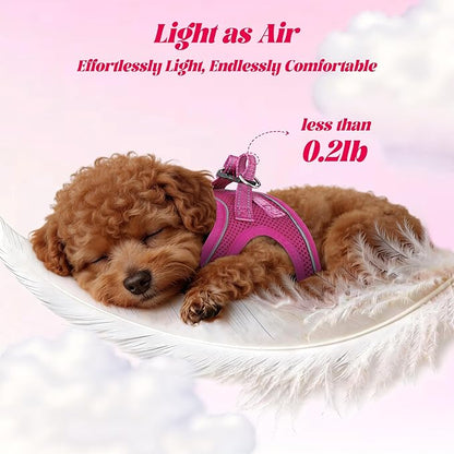 YIMEIS Dog Harness and Leash Set, No Pull Soft Mesh Pet Harness, Reflective Adjustable Puppy Vest for Small Medium Large Dogs, Cats (Rose Red, Medium (Pack of 1)