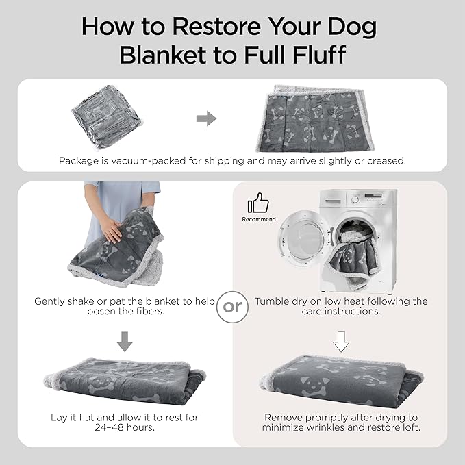 Bedsure Waterproof Dog Blankets for Small Dogs - Soft Print Sherpa Fleece Puppy Cat Blanket Washable, Cozy Plush Reversible Throw Furniture Protector for Pet Kitten Doggy, 25"X35", Anchor Gray