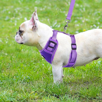 PUPTECK Small Dog Harness and Leash Set, No Pull Adjustable Puppy Cat Harness, Reflective Soft Mesh Pet Vest Small Sized, Purple, S