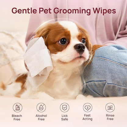 HICC PET Wipes for Dogs and Cats, Vet-Recommended Pets Cleaning Wipes, Deodorizing Hydrating, Nourishes Smoothes Fur, Fermented Coconut Oil Grooming Paws Body and Butt, Horse Skin Coat, Rose, 100pcs