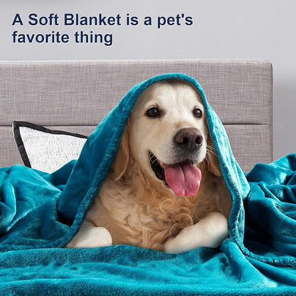DREAMNINE Soft Cozy Plush Fleece Throw Blanket 50" x 60", Solid Shag Minky Lightweight Lap Fuzzy Flannel Blanket for Bedroom, Luxury Washable Warm Velvet Blankets for Couch Sofa Pet, Breathable, Teal
