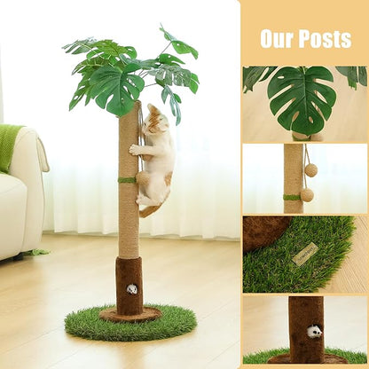 Woochpet Cat Scratching Post for Indoor Cats and Kitten - 35.43" Tall Cat Scratching Post with Sisal Rope,Palm Tree Cat Scratch Post with Hanging Ball