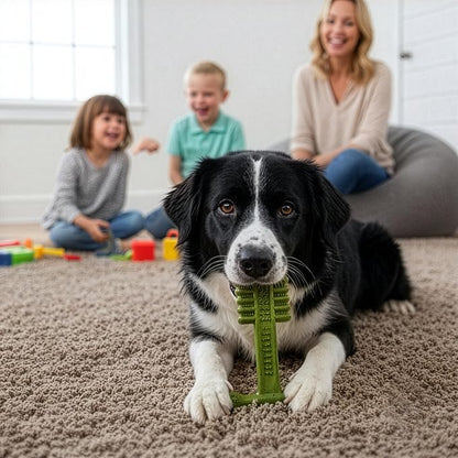 SPOT Bam-Bones Plus Toothbrush Dog Chew Toy for Medium Dogs 30-60 lbs, Bamboo & Nylon Dental Chew with Mint & Baking Soda, T-Bone Shape for Moderate to Heavy Chewers, 6 Inch
