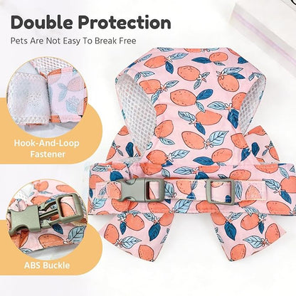 BAEJMJK Dog Harness and Leash Set with Bow Knot No Pull Pet Floral Harness with D-Ring Soft Mesh Dog Harness Vest Set Escape Proof Princess Puppy Harness for Small Girl Dogs Cats（Orange S）