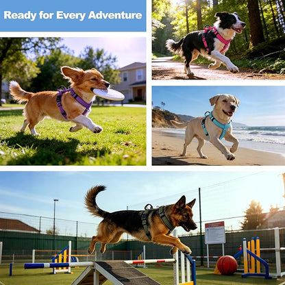 No Pull Dog Harness with Handle, Soft Mesh Padded Adjustable for Small Medium Large Dogs | Reflective Easy Walk Harness with Front Clip for Training, Running & Outdoor (Hot Pink, S)