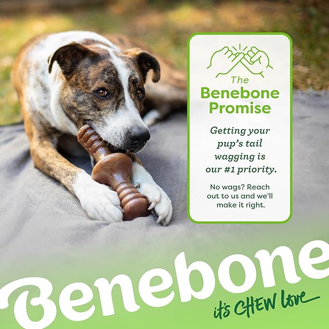 Benebone Zaggler Rolling Dog Chew Toy for Aggressive Chewers, Real Peanut, Made in USA, Medium