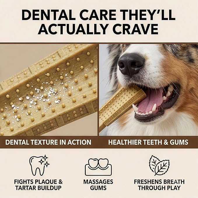 SPOT Bam-Bones Plus Coffee Wood T-Bone Dog Chew Toy, Chicken Flavor, Nylon and Coffee Wood Fiber Blend, Durable Chew for Heavy Chewers and Dogs Under 60 lbs, Non-Splintering Dental Chew, 6 Inch