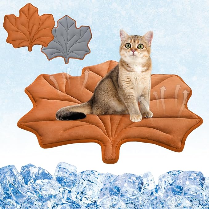KOOLTAIL Self Warming Cat Bed Mat for Indoor Cats Dogs, Reversible Cozy Pet Heated Pad Blanket with Thermal Foil, Thicken Cat Window Perch, Puppy Kitten House for Crate, Desk, Floor,Outdoor,Maple Leaf