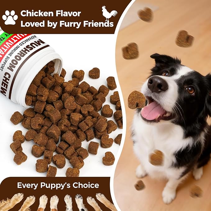 Turkey Tail Mushroom for Dogs, 170 Count Mushroom Chews for Dogs, Chicken Flavor Mushroom Supplements for Dogs, Immune Support, Joints Health, Skin & Coat, Lumps & Bumps Care Multivitamin