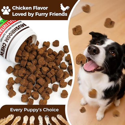 Turkey Tail Mushroom for Dogs, 170 Count Mushroom Chews for Dogs, Chicken Flavor Mushroom Supplements for Dogs, Immune Support, Joints Health, Skin & Coat, Lumps & Bumps Care Multivitamin