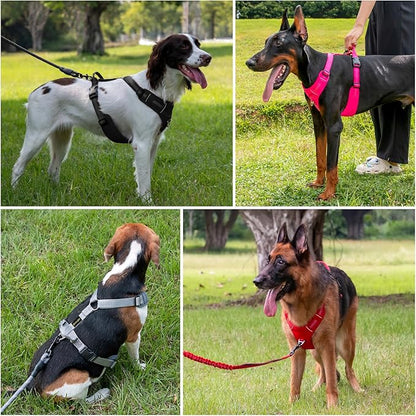 Plutus Pet No Pull Dog Harness, Reflective Adjustable Dog Vest Harness with Handle, Escape Proof, Soft Padded for Small Medium Large Dogs (Light Blue, L)