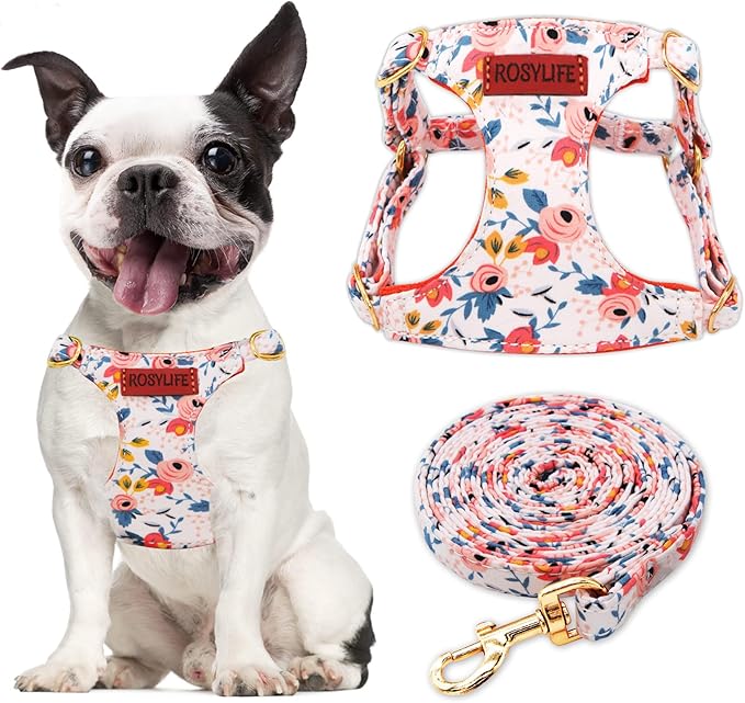 No Pull Dog Harness Adjustable Small Dog Harness and Leash Set, Lightweight and Soft Dog Harness No Choke Escape Proof Pet Harness Vest (Orange Rose, Small)