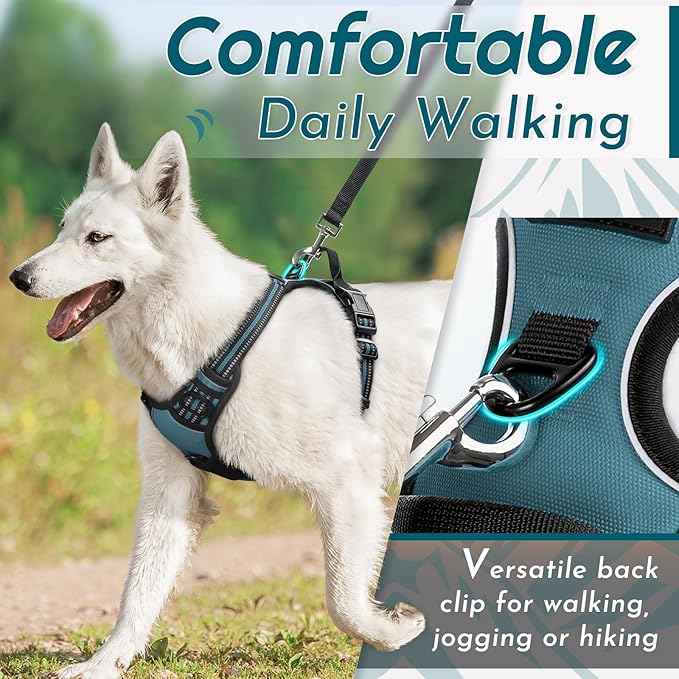 Eagloo Dog Harness Small Sized Dog, No Pull Service Vest with Reflective Strips and Control Handle, Adjustable and Comfortable for Walking, No Choke Pet Harness with 2 Metal Rings, Dark Green, S