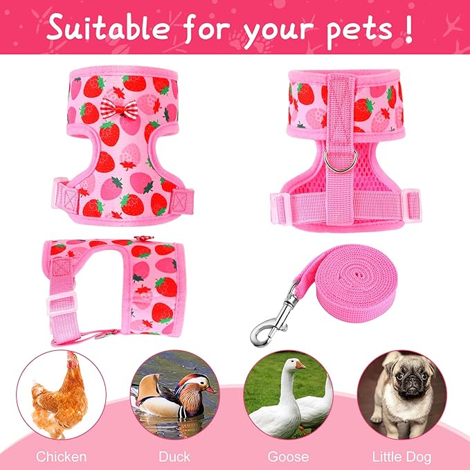 Frienda 2 Pcs Adjustable Chicken Harness and Leash Set Spring Summer Comfortable Elastic Hen Vest Breathable Harness for Hens Duck Goose Pet Training Walking Supplies(Pineapple, Strawberry,Medium)