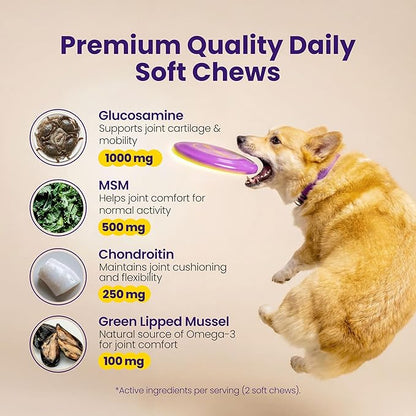 Advanced Hip & Joint Supplement for Dogs - 90 Soft Chews with Glucosamine, MSM, Chondroitin & Multivitamins - Supports Mobility & Flexibility - Made with Pasture-Raised Chicken
