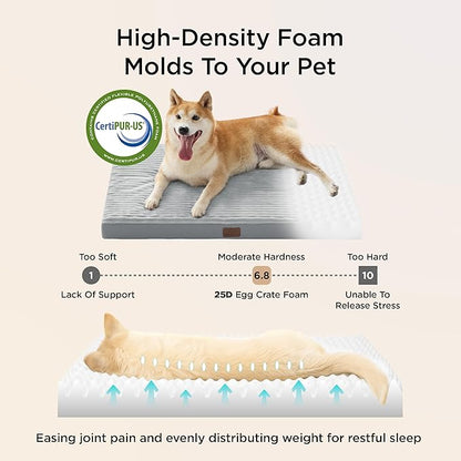 Bedsure ComfyFleece Dog Bed for Small Dogs - Orthopedic Pet Beds with Removable Washable Cover, NOT Waterproof Egg Crate Foam Puppy Mat, Suitable for Pet Up to 20 lbs, 23"x17"x2.8", NOT for Chewers
