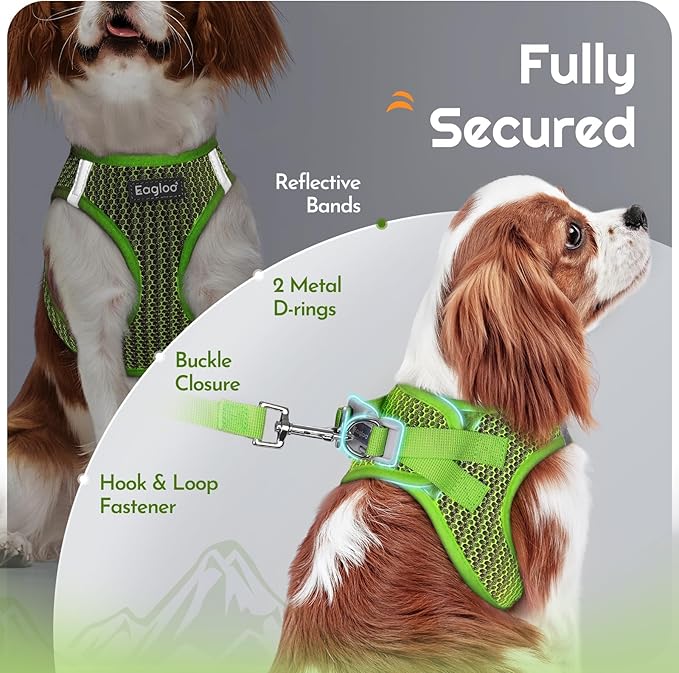 Eagloo Small Dog Harness and Leash Set, Step in Puppy Vest with Breathable Soft Mesh, Walking Reflective Pet Harness for Medium Small Dogs, Green, M