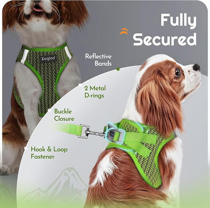 Eagloo Small Dog Harness and Leash Set, Step in Puppy Vest with Breathable Soft Mesh, Walking Reflective Pet Harness for Extra Small Dogs, Green, XXS