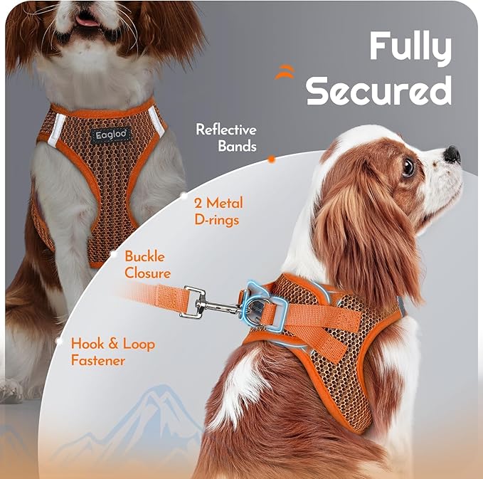 Eagloo Small Dog Harness and Leash Set, Step in Puppy Vest with Breathable Soft Mesh, Walking Reflective Pet Harness for Small Dogs, Orange, L
