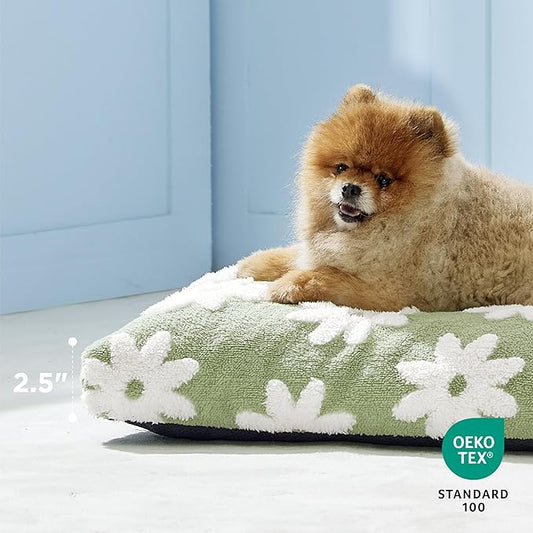 LE SURE Small Dog Beds-Thick Shredded Chopped Foam Pet Bed Gift Indoor with Removable Cover, Cute Modern Fuzzy Plush & Anti Slip Bottom, Green