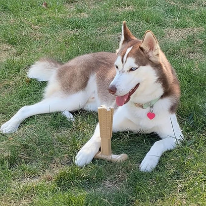 SPOT Bam-Bones Plus Coffee Wood T-Bone Dog Chew Toy, Chicken Flavor, Nylon and Coffee Wood Fiber Blend, Durable Chew for Heavy Chewers and Dogs Under 90 lbs, Non-Splintering Dental Chew, 7 Inch