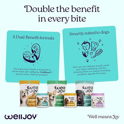 New! WellJoy Dog Supplement Joint+ GutBoost | Dog Health Supplement | Supports Healthy Flexible Joints | Dual-Benefit GutBoost Formulation | Vet Formulated | USA Made | Chicken Flavor | 90 Soft Chews