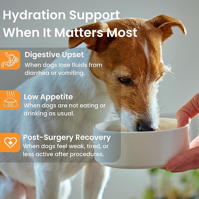 Dog Hydration & Recovery – Helps Dogs Drink More Water During Diarrhea, Vomiting, Low Appetite & Post-Surgery – Digestion Support with Turkey Tail Mushroom & Bone Broth, 12 Sticks