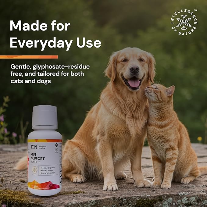 ION* Intelligence of Nature Gut Support For Pets - Liquid Probiotics Drops Alternative for Dogs & Cats, Digestive Health for Puppies, Skin & Hair Health - 16 fl oz (Pack of 1)