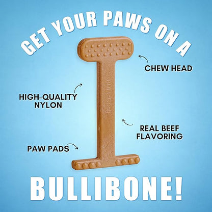 Bullibone Nylon Dog Chew Toy for Aggressive Chewers - Dental Hygiene Bone with Beef Flavor, Durable Tough Chew Toys for Large Dogs, Indestructible Dog Bone - 2 Pack