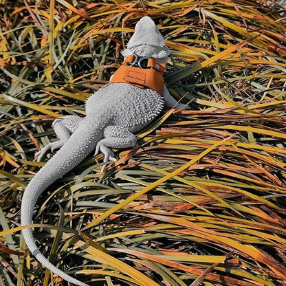 3 Pack Bearded Dragon Harness and Leash Set - Adjustable Soft Leather Lizard Harness Leash Small Animal Traction Rope Training Walking Vest Accessories for Reptile Squirrel Rat (Brown)